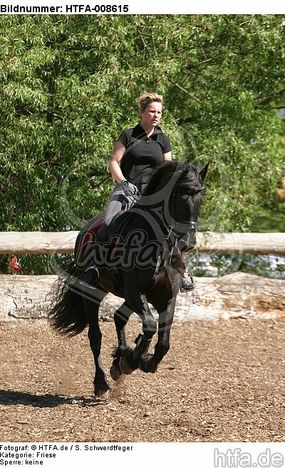 Frau reitet Friese / woman rides friesian horse / HTFA-008615