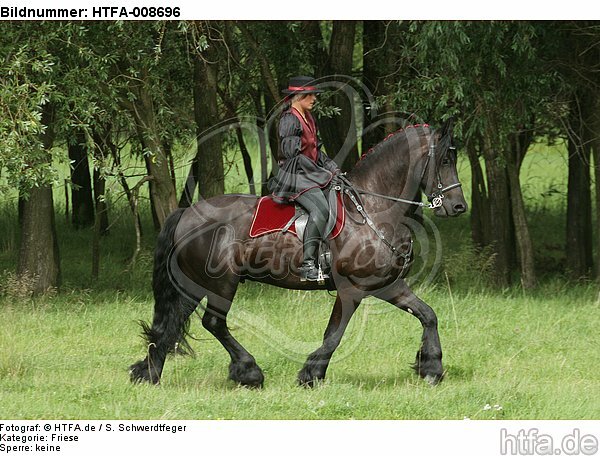 Frau reitet Friese / woman rides friesian horse / HTFA-008696