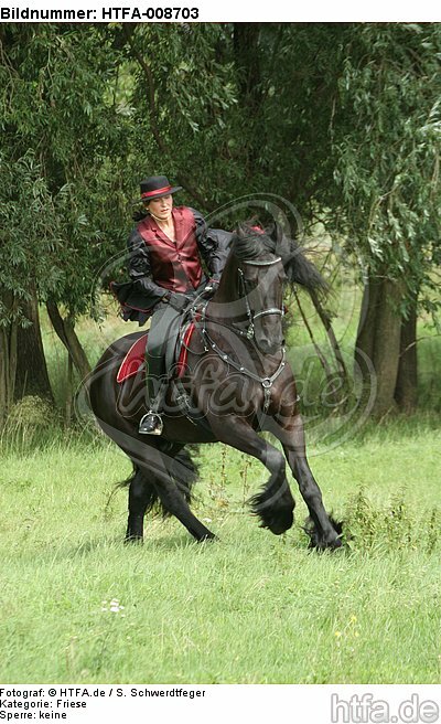 Frau reitet Friese / woman rides friesian horse / HTFA-008703