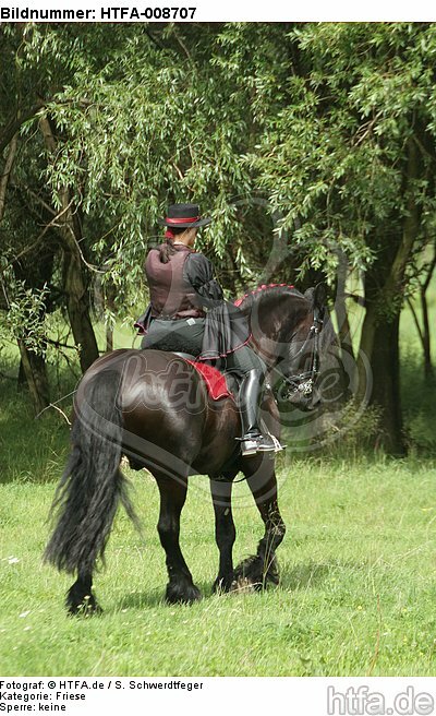 Frau reitet Friese / woman rides friesian horse / HTFA-008707