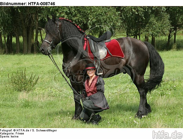 Frau mit Friese / woman and friesian horse / HTFA-008746