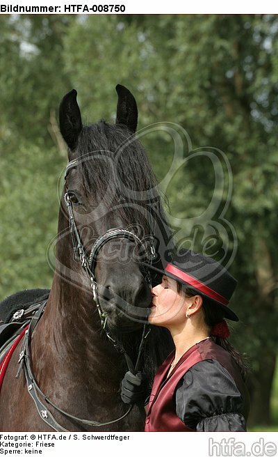 Frau küsst Friese / woman is kissing friesian horse / HTFA-008750