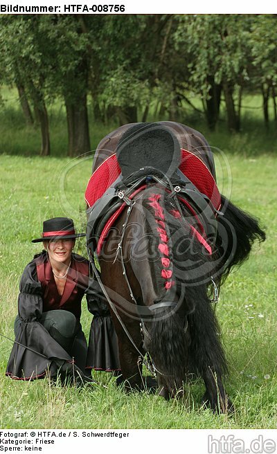 Frau mit Friese / woman and friesian horse / HTFA-008756