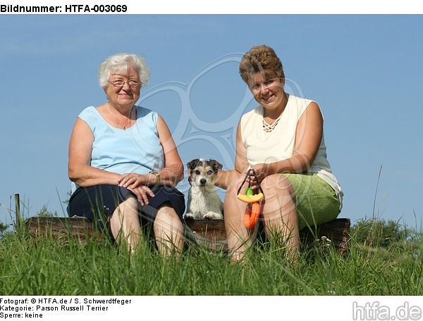 Parson Russell Terrier / HTFA-003069