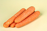 Möhren / carrots
