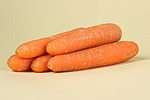 Möhren / carrots