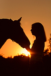 Frau und Deutsches Reitpony im Abendlicht / woman and pony