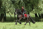 Frau reitet Friese / woman rides friesian horse