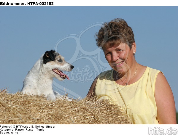 Parson Russell Terrier / HTFA-002153