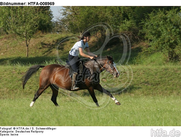 Frau reitet Deutsches Reitpony / woman rides pony / HTFA-008969