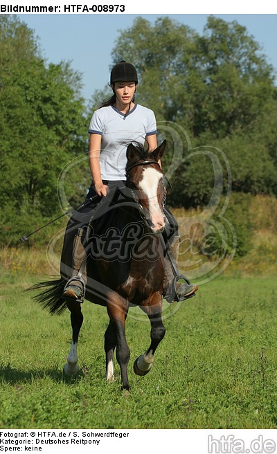 Frau reitet Deutsches Reitpony / woman rides pony / HTFA-008973