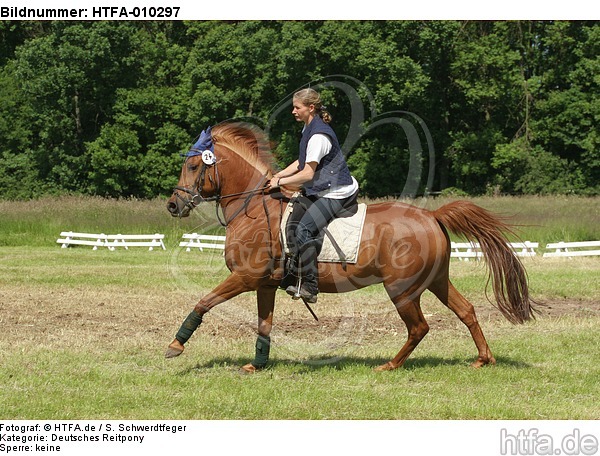 Frau reitet Deutsches Reitpony / woman rides pony / HTFA-010297