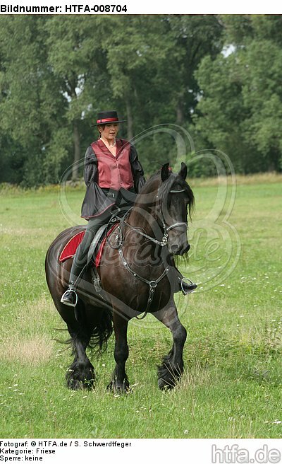 Frau reitet Friese / woman rides friesian horse / HTFA-008704