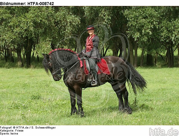 Frau reitet Friese / woman rides friesian horse / HTFA-008742