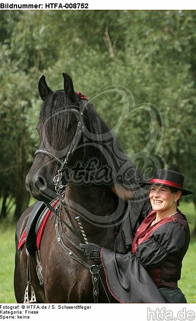 Frau streichelt Friese / woman is fondling friesian horse / HTFA-008752