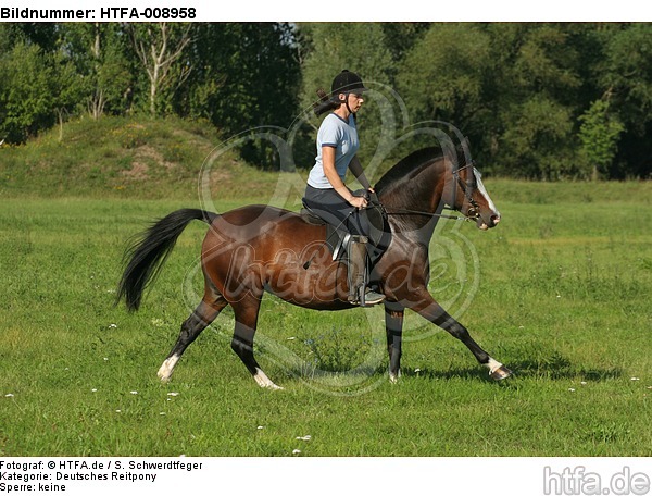 Frau reitet Deutsches Reitpony / woman rides pony / HTFA-008958