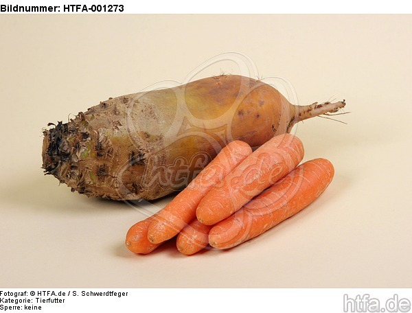 Futterrübe und Möhren / forage-beet and carrots / HTFA-001273