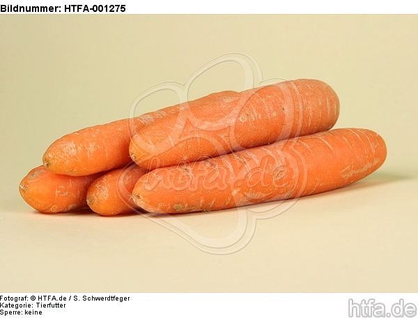 Möhren / carrots / HTFA-001275