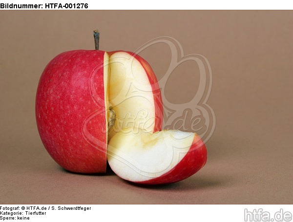 Apfel / apple / HTFA-001276