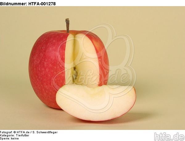Apfel / apple / HTFA-001278