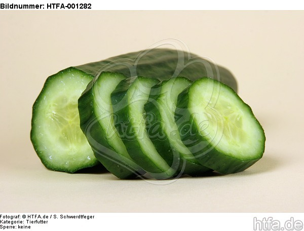 Gurke / cucumber / HTFA-001282