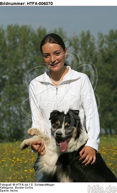 Border Collie / HTFA-006070