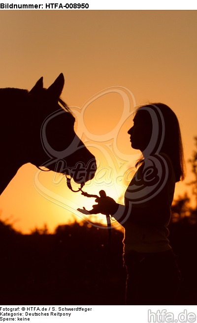 Frau und Deutsches Reitpony im Abendlicht / woman and pony / HTFA-008950