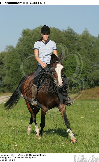 Frau reitet Deutsches Reitpony / woman rides pony / HTFA-008979