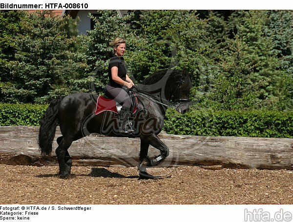 Frau reitet Friese / woman rides friesian horse / HTFA-008610