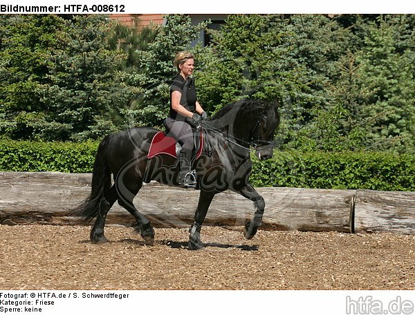 Frau reitet Friese / woman rides friesian horse / HTFA-008612