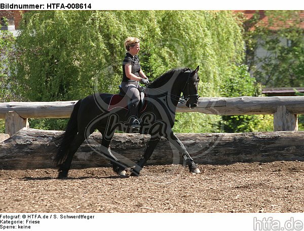 Frau reitet Friese / woman rides friesian horse / HTFA-008614
