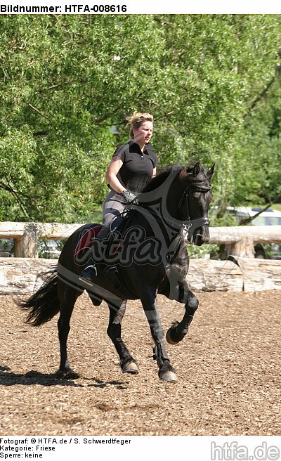 Frau reitet Friese / woman rides friesian horse / HTFA-008616