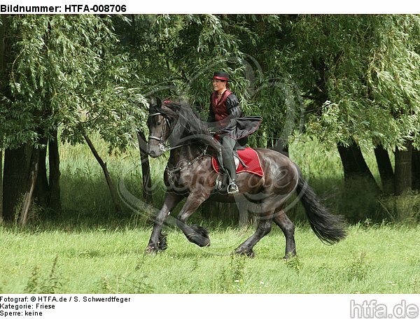 Frau reitet Friese / woman rides friesian horse / HTFA-008706