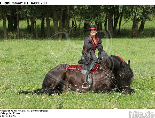 Frau mit Friese / woman and friesian horse / HTFA-008733