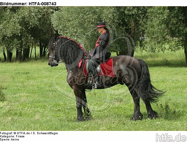 Frau reitet Friese / woman rides friesian horse / HTFA-008743