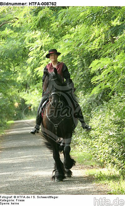 Frau reitet Friese / woman rides friesian horse / HTFA-008762