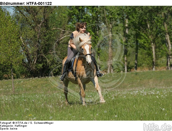 Frau reitet Haflinger / woman rides haflinger horse / HTFA-001122