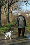 Frau mit Parson Russell Terrier / woman with prt