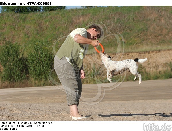 Frau spielt mit Parson Russell Terrier / woman plays with PRT / HTFA-009651