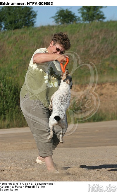 Frau spielt mit Parson Russell Terrier / woman plays with PRT / HTFA-009653