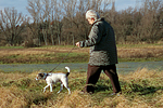 Frau mit Parson Russell Terrier / woman with PRT