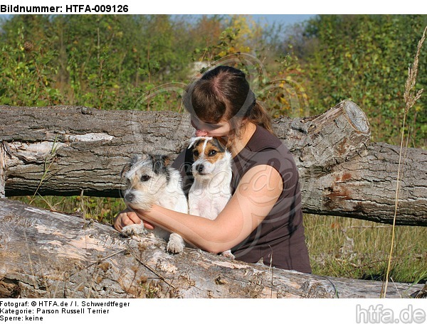 Frau mit Parson Russell Terriern / woman with PRT / HTFA-009126