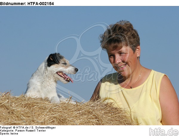 Parson Russell Terrier / HTFA-002154