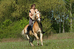 Frau reitet Haflinger / woman rides haflinger horse