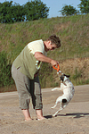 Frau spielt mit Parson Russell Terrier / woman plays with PRT