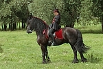 Frau reitet Friese / woman rides friesian horse