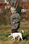 Frau mit Parson Russell Terrier / woman with PRT