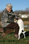 Frau streichelt Parson Russell Terrier / woman is fondling PRT