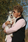 Parson Russell Terrier