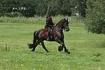 Frau reitet Friese / woman rides friesian horse